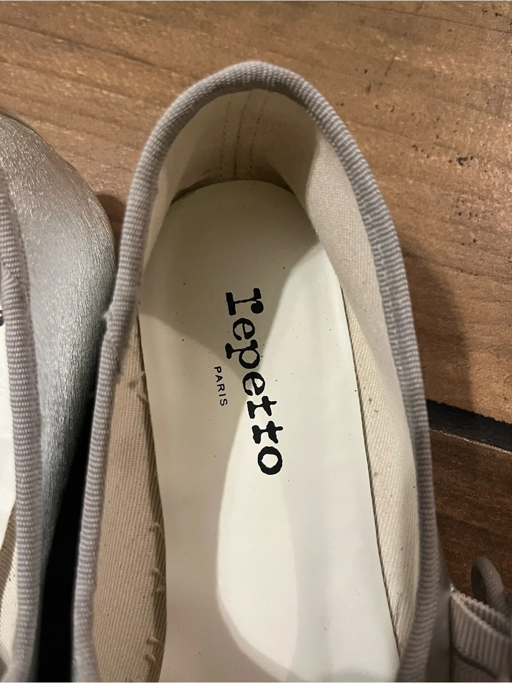 Repetto Metallic Silver Mary Jane Flats with Buckle